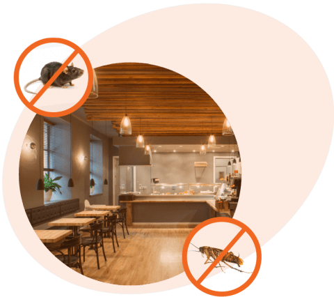 Restaurant Pest Control Innopest