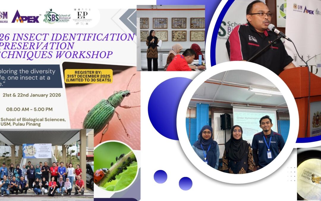 Strengthening Scientific Pest Management Through Insect Identification Training