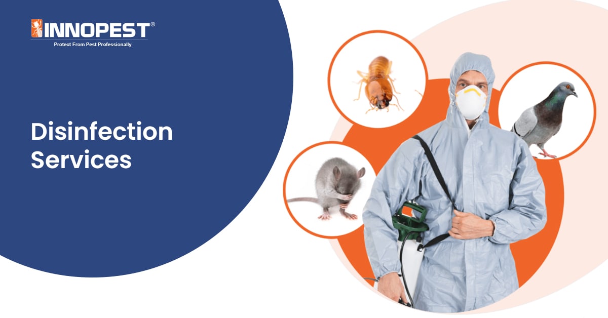 Professional Disinfection Services KKM Approved Chemical and