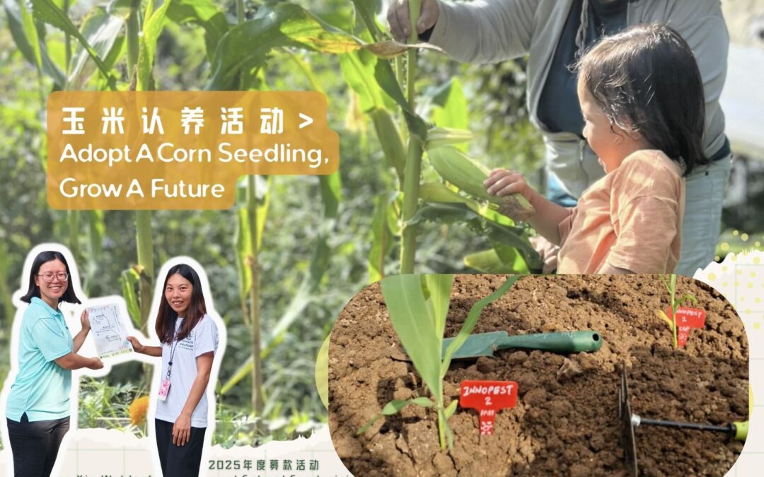 🌽 Innopest JB Joins “Adopt A Corn Seedling, Grow A Future” CSR Initiative