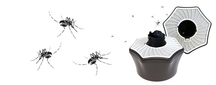 Mosquito Trap