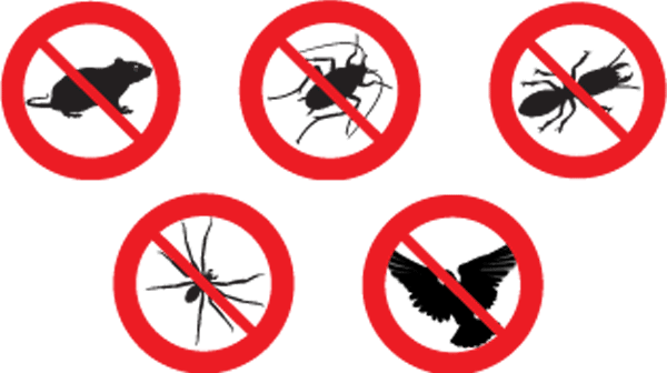 Pest Icon