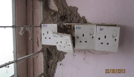 Common signs of termite infestation in Malaysian homes