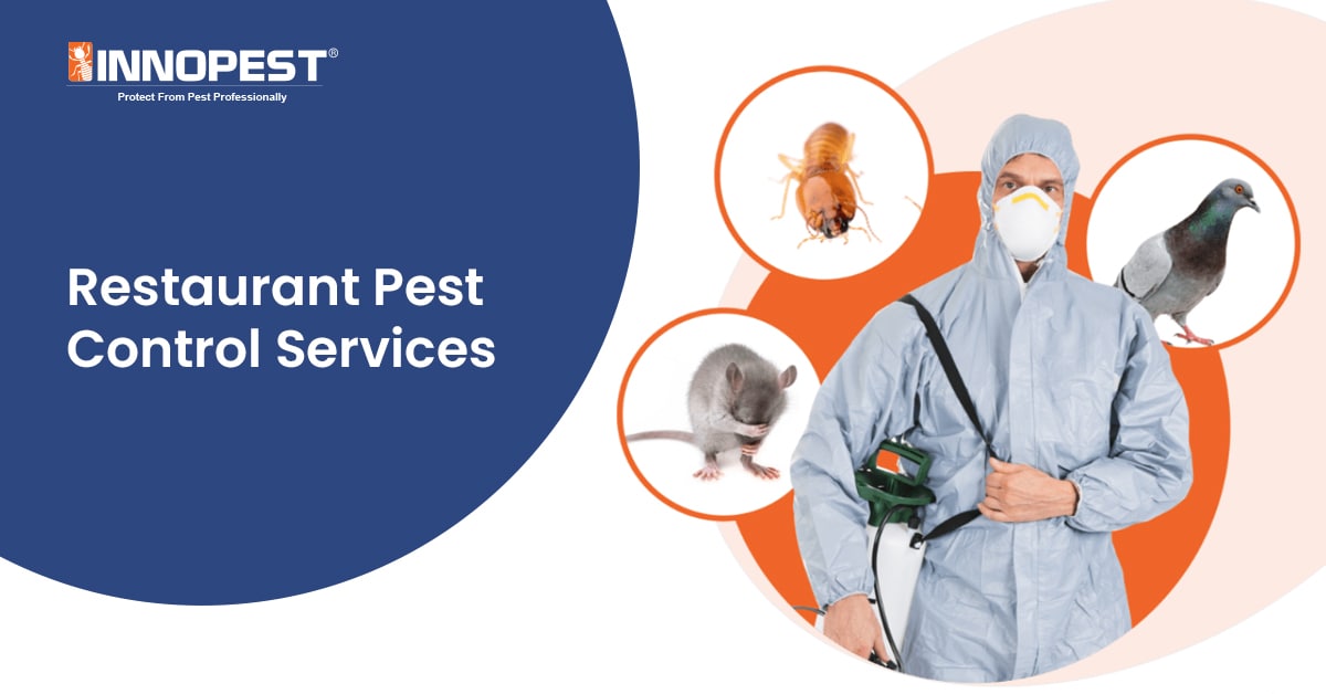 Restaurant Pest Control Management Innopest Malaysia