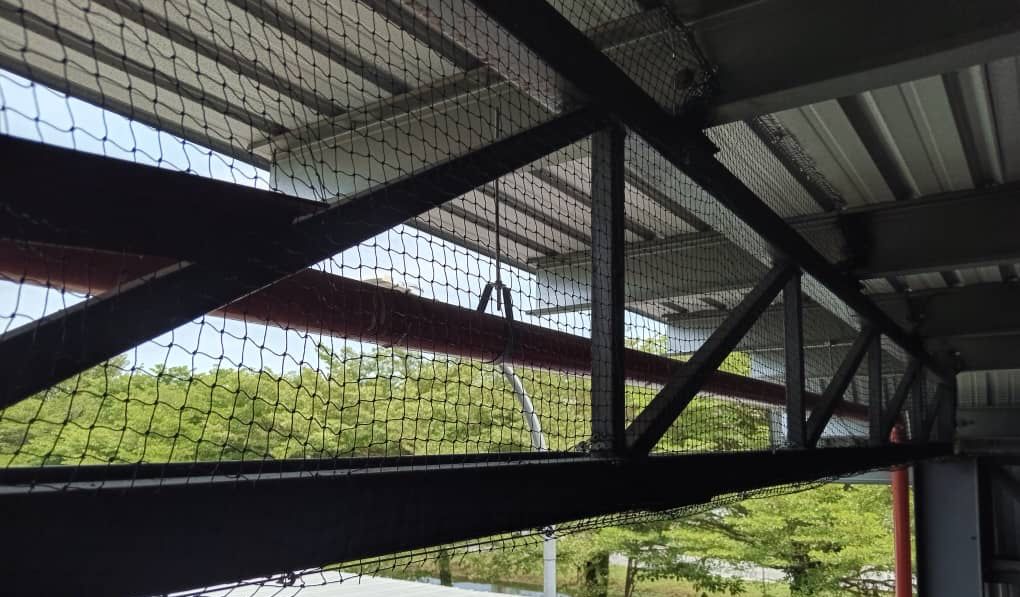 Bird netting installation for pigeon control at warehouse in KL Selangor
