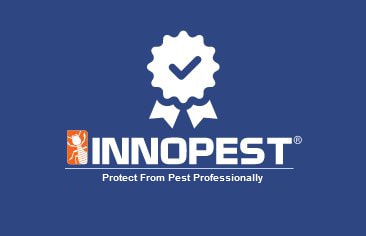 Innopest Logo