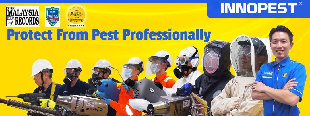 Reliable Pest Control KL & Selangor – Professional & Eco-Intelligent Solutions